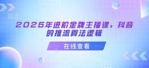 2025年进阶金牌主播课，抖音的推流算法逻辑-逐浪前行