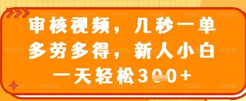 审核视频，几秒一单，多劳多得，新人小白一天轻松3张【揭秘】-逐浪前行