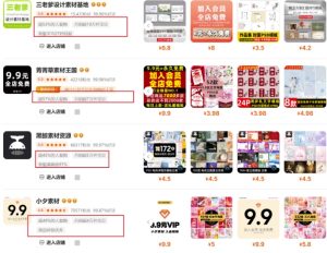 0成本虚拟项目实战手把手教你落地,单店月入5k-逐浪前行