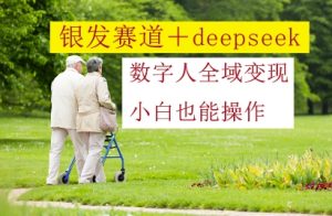 银发赛道+deepseek数字人全域变现,小白也能操作-逐浪前行