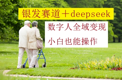 银发赛道+deepseek数字人全域变现，小白也能操作-逐浪前行