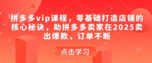 拼多多vip课程，零基础打造店铺的核心秘诀，助拼多多卖家在2025卖出爆款，订单不断-逐浪前行