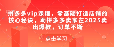 拼多多vip课程，零基础打造店铺的核心秘诀，助拼多多卖家在2025卖出爆款，订单不断-逐浪前行
