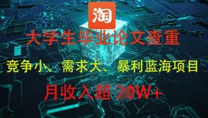 大学生毕业论文查重,暴利蓝海项目,月收入过1W+-逐浪前行