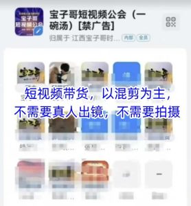 宝子哥头部团队短视频带货，以混剪为主，不需要真人出镜，不需要拍摄-逐浪前行