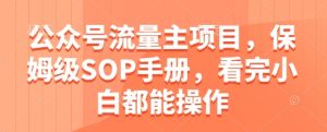 公众号流量主项目,保姆级SOP手册,看完小白都能操作-逐浪前行