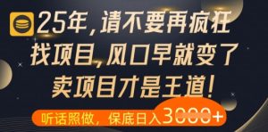 什么?25年你还在疯狂找项目做,醒醒吧,看完这些你全都懂了【揭秘】-逐浪前行