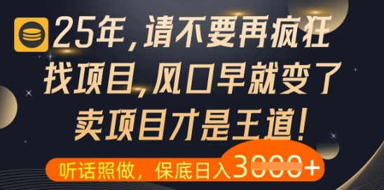 什么？25年你还在疯狂找项目做，醒醒吧，看完这些你全都懂了【揭秘】-逐浪前行