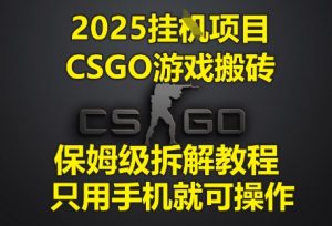 2025挂G项目，CSGO游戏搬砖，保姆级拆解教程，只用手机就可操作【揭秘】-逐浪前行