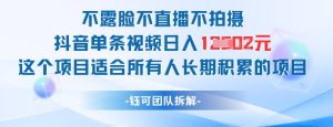 不露脸不直播不拍摄抖音单条视频日入1k+这个项目适合所有人长期积累的项目-逐浪前行