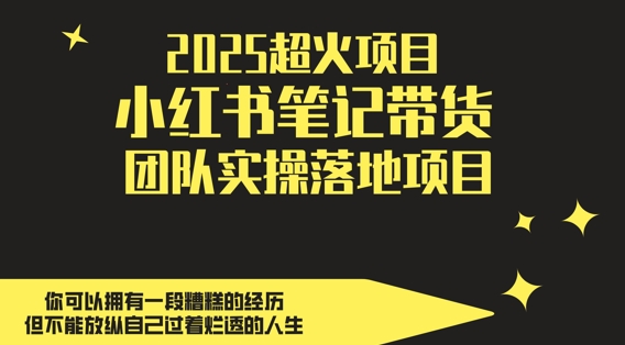 2025超火项目，副业最佳选择，小红书笔记带货团队实操落地项目，，轻松日入5张-逐浪前行