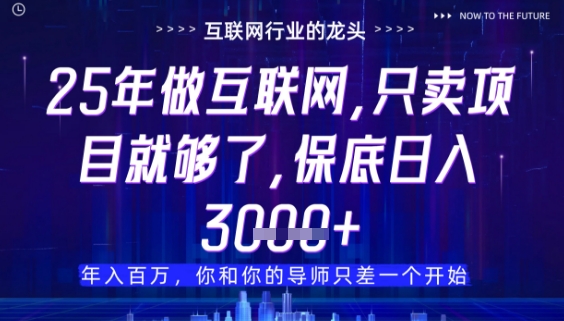 什么！25年你还在找项目做？风口早就变了，卖项目才是稳挣不赔【揭秘】-逐浪前行