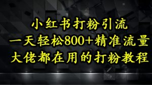 小红书打粉引流，一天轻松500+精准流量，大佬都在用的打粉教程-逐浪前行