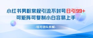 小红书男粉常规引流不封号日引99+变现简单 可矩阵可复制小白容易上手-逐浪前行