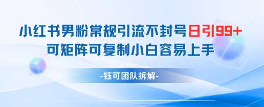 小红书男粉常规引流不封号日引99+变现简单 可矩阵可复制小白容易上手-逐浪前行