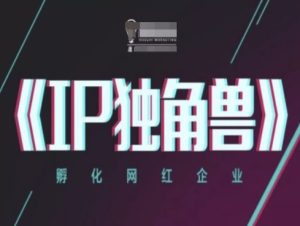 IP独角兽,孵化网红企业,ip教程-逐浪前行