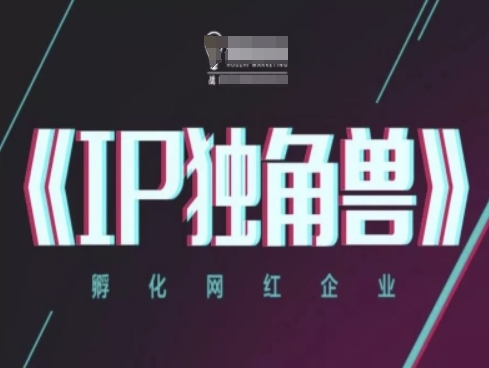 IP独角兽，孵化网红企业，ip教程-逐浪前行