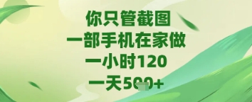 你只管截图，一部手机在家做，苹果安卓都可以，一天5张+【揭秘】-逐浪前行