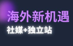 2025出海新机遇(社媒+独立站),海外新机遇,实现独立站的高效运营与出海-逐浪前行