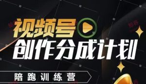 视频号创作分成计划陪跑训练营,手把手教会你如何制作视频,细水长流型项目-逐浪前行