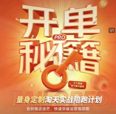 淘宝开单秘籍PRO，量身定制淘天实战陪跑计划，告别做店迷茫、快速突破运营瓶颈期（更新）-逐浪前行