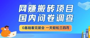 网创搬砖项目,国内问卷调查,小白轻松上手,一天三四张的也不难,干就完了【揭秘】-逐浪前行
