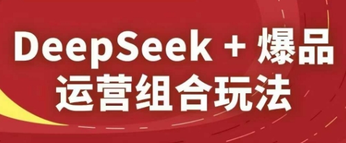 DeepSeek+爆品运营组合玩法，2025淘系精品课-逐浪前行
