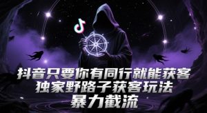 抖音只要你有同行就能获客,独家野路子获客玩法,暴力截流【揭秘】-逐浪前行