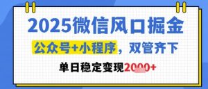 2025微信风口掘金,公众号+小程序双管齐下,单日稳定变现1k+【揭秘】-逐浪前行