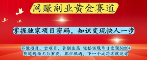 网创副业黄全赛道，掌握独家项目密码，知识变现快人一步，告别韭菜轻松实现单日变现1k+【揭秘】-逐浪前行