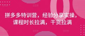 拼多多特训营,经验分享实操,课程时长拉满,干货拉满(更新25年4月)-逐浪前行