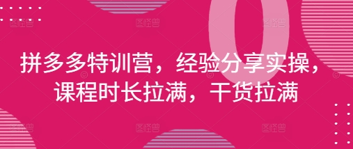 拼多多特训营，经验分享实操，课程时长拉满，干货拉满(更新25年4月)-逐浪前行
