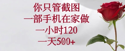 你只管截图，一部手机在家可以做，一小时120.一天5张+【揭秘】-逐浪前行