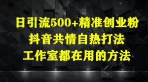 日引流500+精准创业粉,抖音共情自热打法,工作室都在用的方法-逐浪前行