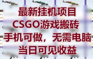 最新挂G项目，CSGO游戏搬砖，手机可做，无需电脑，当日见收益【揭秘】-逐浪前行