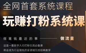2025行业首套全网全域打粉系统神课，做流量做离钱最近的事，一套新手入行打粉引流必备课-逐浪前行