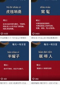 抖音最新涨粉玩法，图文方言暴力涨粉实操，126作品涨粉11W-逐浪前行