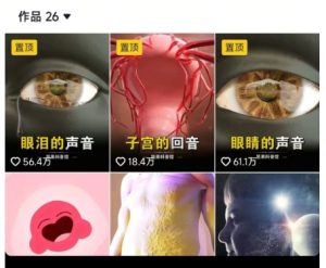 抖音坚果3D动画科普项目，撸视频号分成和抖音伙伴计划，适合零基础小白-逐浪前行