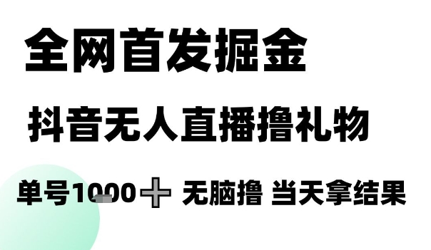全网首发掘金抖音无人直播撸礼物，单号1k +无脑撸，当天拿结果【揭秘】-逐浪前行
