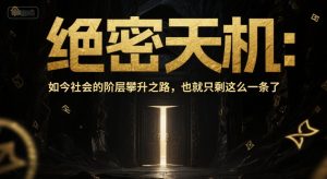 付费文章:绝密天机:如今社会的阶层攀升之路,也就只剩这么一条了-逐浪前行