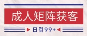 小红书某音橙人赛道引流获客,自热矩阵日引200+【揭秘】-逐浪前行
