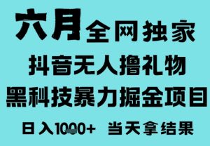 25年6月高爆抖音无人直播最新撸音浪掘金项目,门槛低小白可做,无脑日入1k,可矩阵放大【揭秘】-逐浪前行