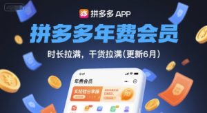 拼多多年费会员,实经验分享操,时长拉满,干货拉满(更新6月)-逐浪前行