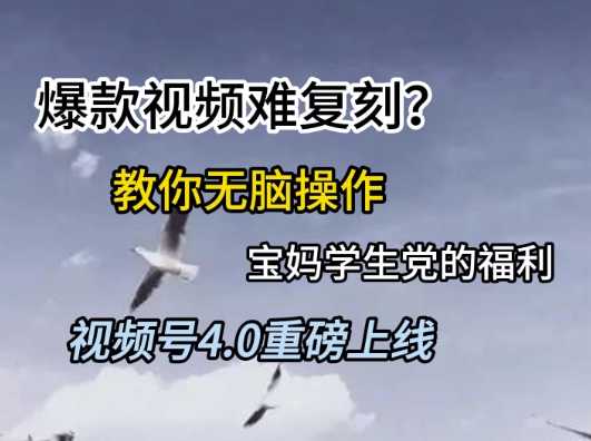 视频号4.0重磅上线，爆款视频难复刻？教你无脑操作宝妈学生党的福利【揭秘】-逐浪前行