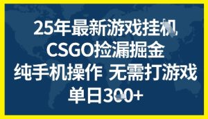 25年CSGO游戏搬砖,全自动挂G,不需要玩游戏,手机操作日入3张+【揭秘】-逐浪前行