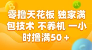 零撸天花板,独家满包技术 不养机 一小时撸满50+【揭秘】-逐浪前行