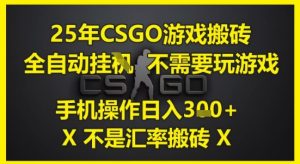 25年CSGO游戏搬砖,全自动运行,不需要玩游戏,手机操作日入3张(不是汇率搬砖)【揭秘】-逐浪前行