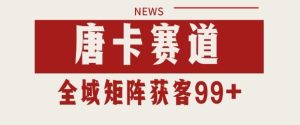 小红书某音唐卡赛道引流获客 自热矩阵日引200+【揭秘】-逐浪前行