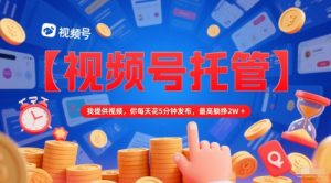 【视频号托管 】我提供视频,你每天花5分钟发布,最高躺挣2W+【揭秘】-逐浪前行