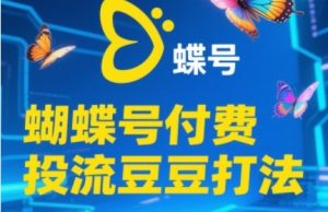 2025蝴蝶号付费投流豆豆打法,助新手快速掌握付费流量撬动自然流的核心玩法-逐浪前行